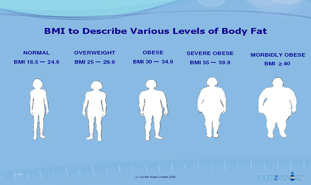 body fat percentage in average man